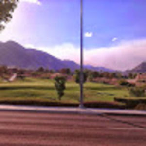 Meet your Posher, Phyllis